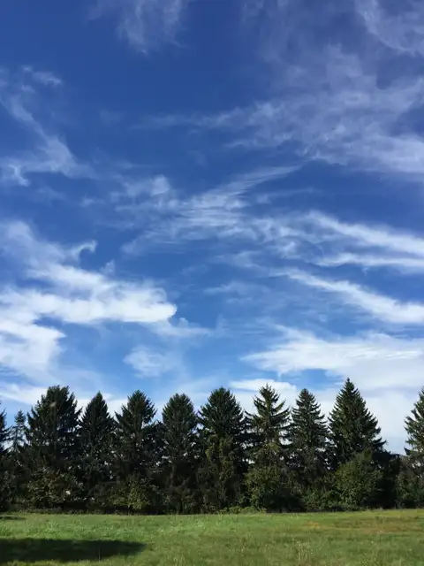 Clear skies and evergreen dreams.